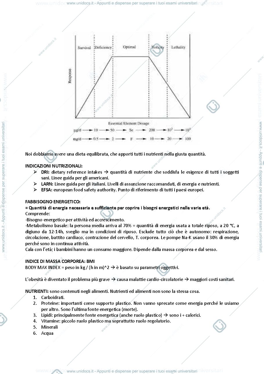 Anteprima pagina 2 — Energia - Carboidrati