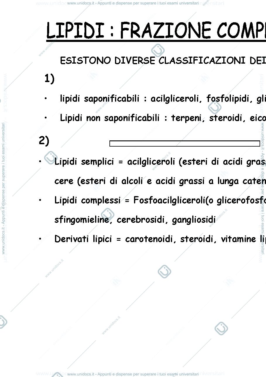 Anteprima pagina 2 — Lipidi