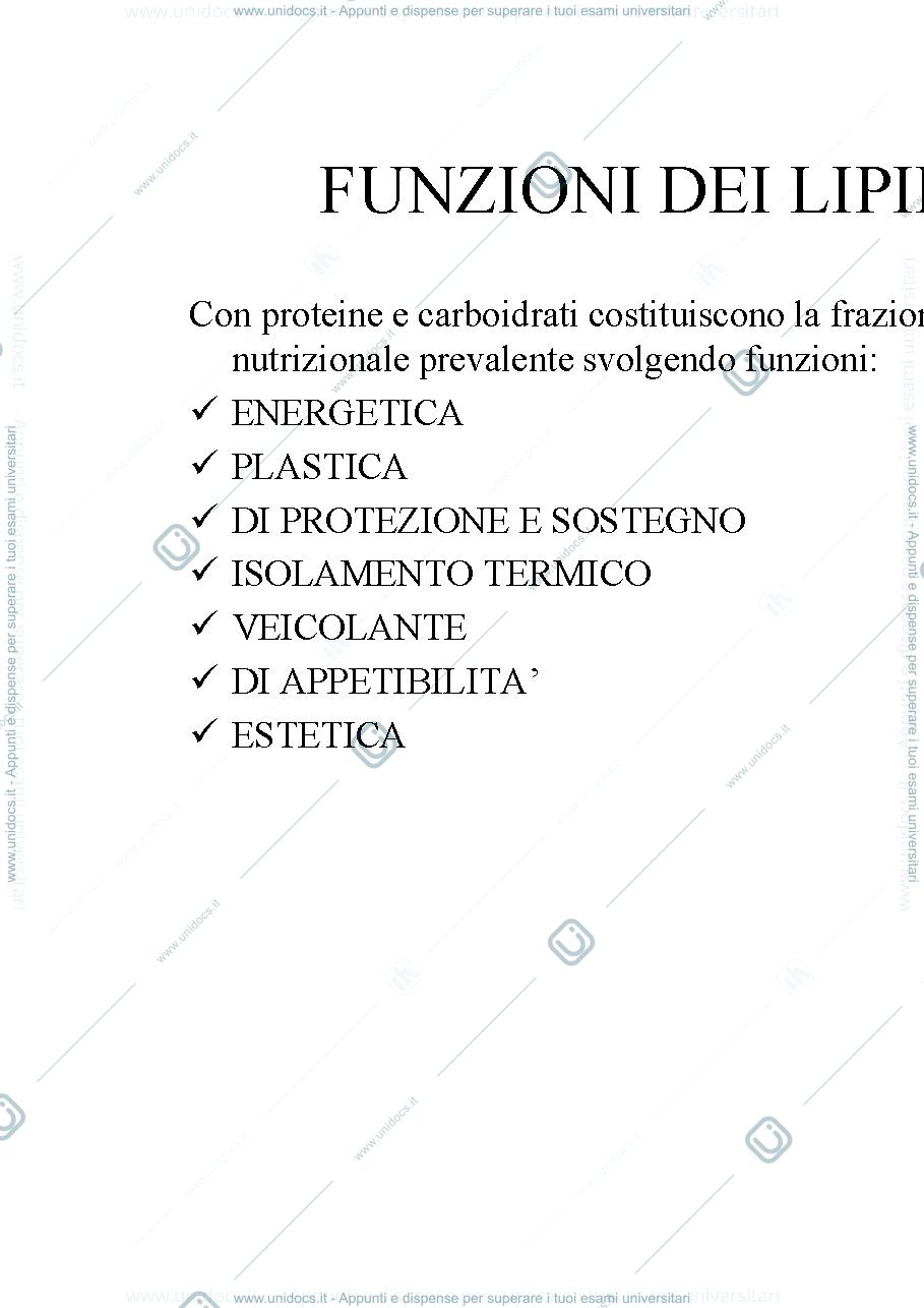 Anteprima pagina 3 — Lipidi