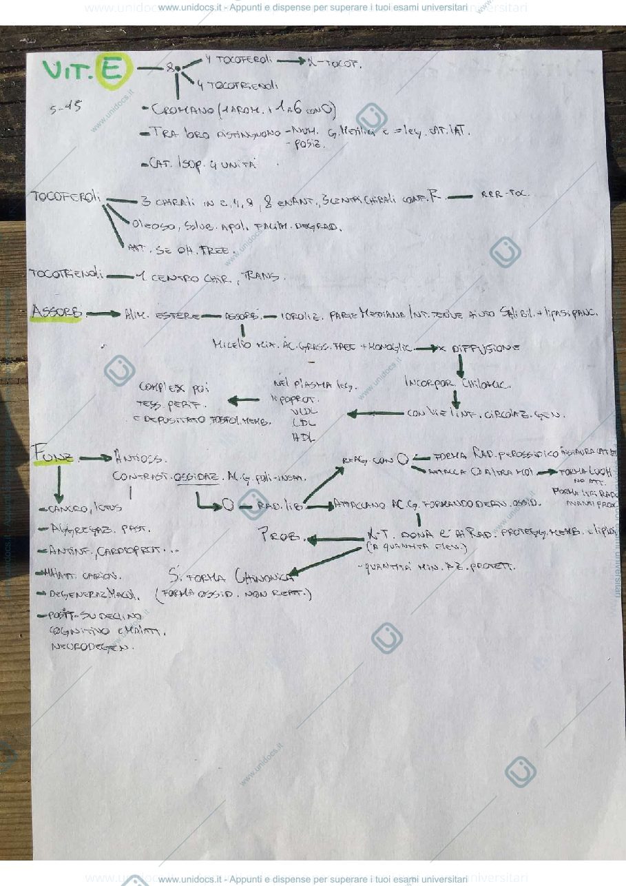 Anteprima pagina 2 — Schemi modulo 1º