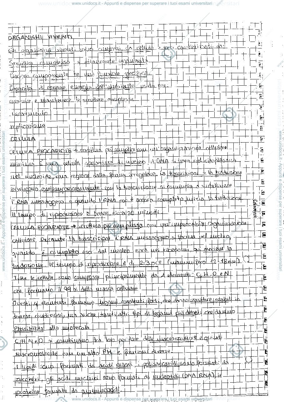 Anteprima pagina 3 — appunti di catalisi