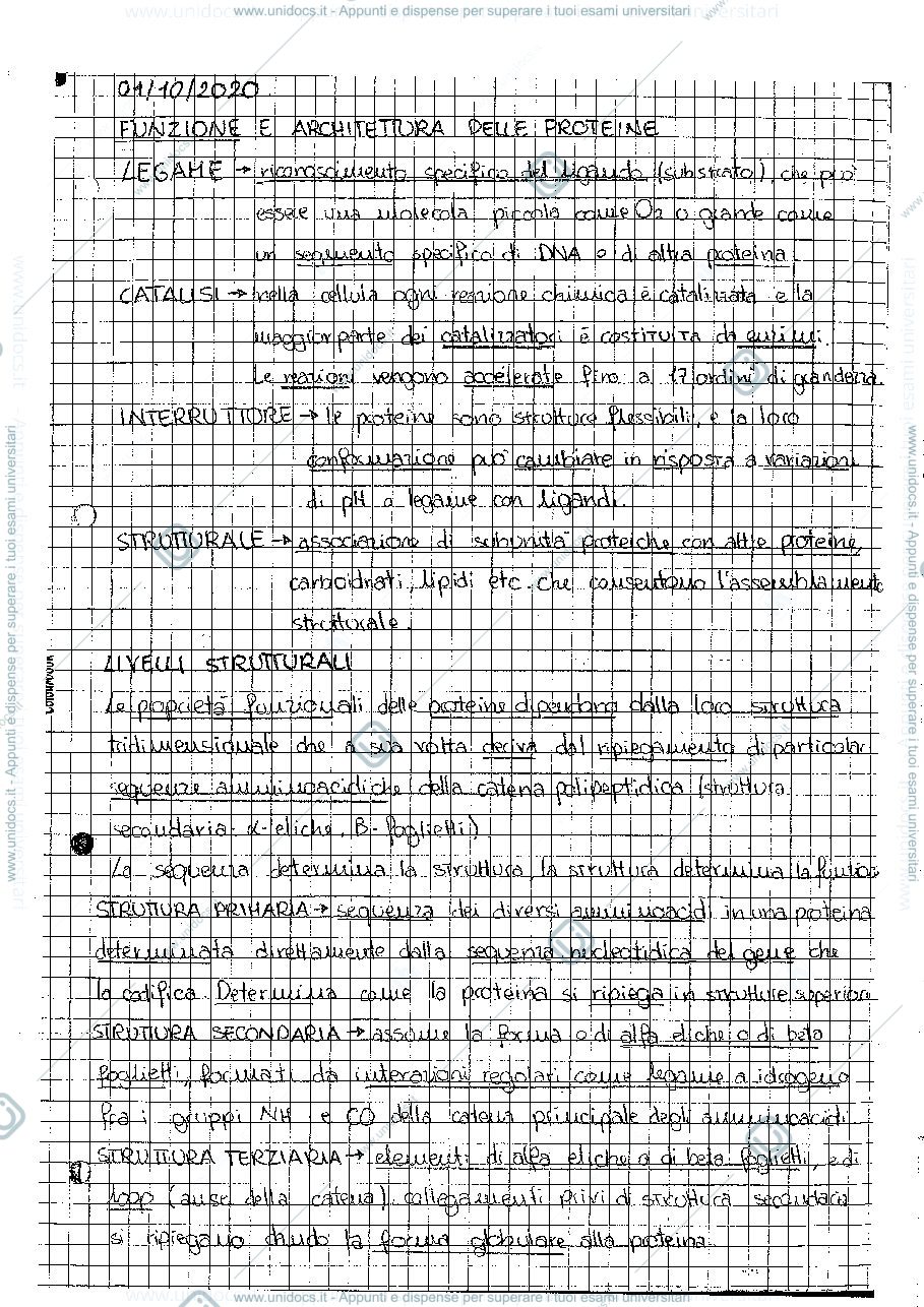 Anteprima pagina 4 — appunti di catalisi