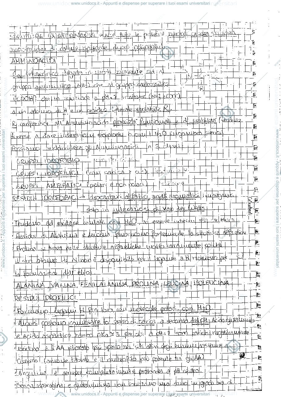 Anteprima pagina 5 — appunti di catalisi