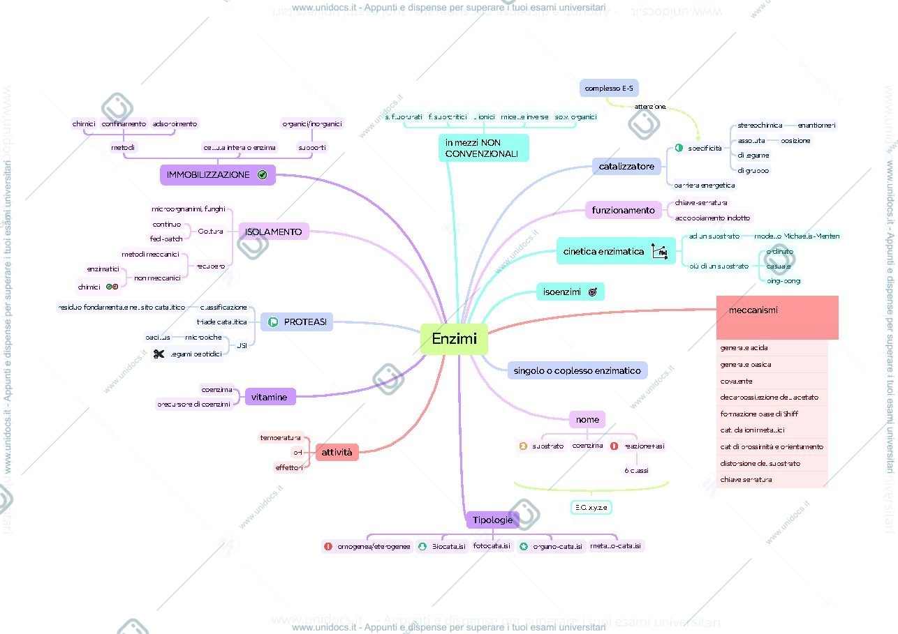 Anteprima pagina 2 — Mappe concettuali