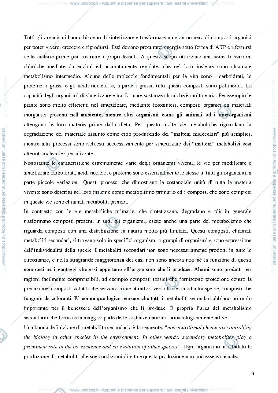 Anteprima pagina 3 — Apuntes