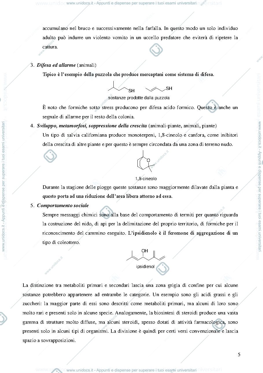 Anteprima pagina 5 — Apuntes