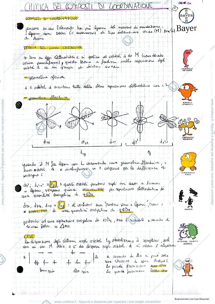 Anteprima pagina 1 — Appunti di chimica dei composti di coordinazione e metallorganica