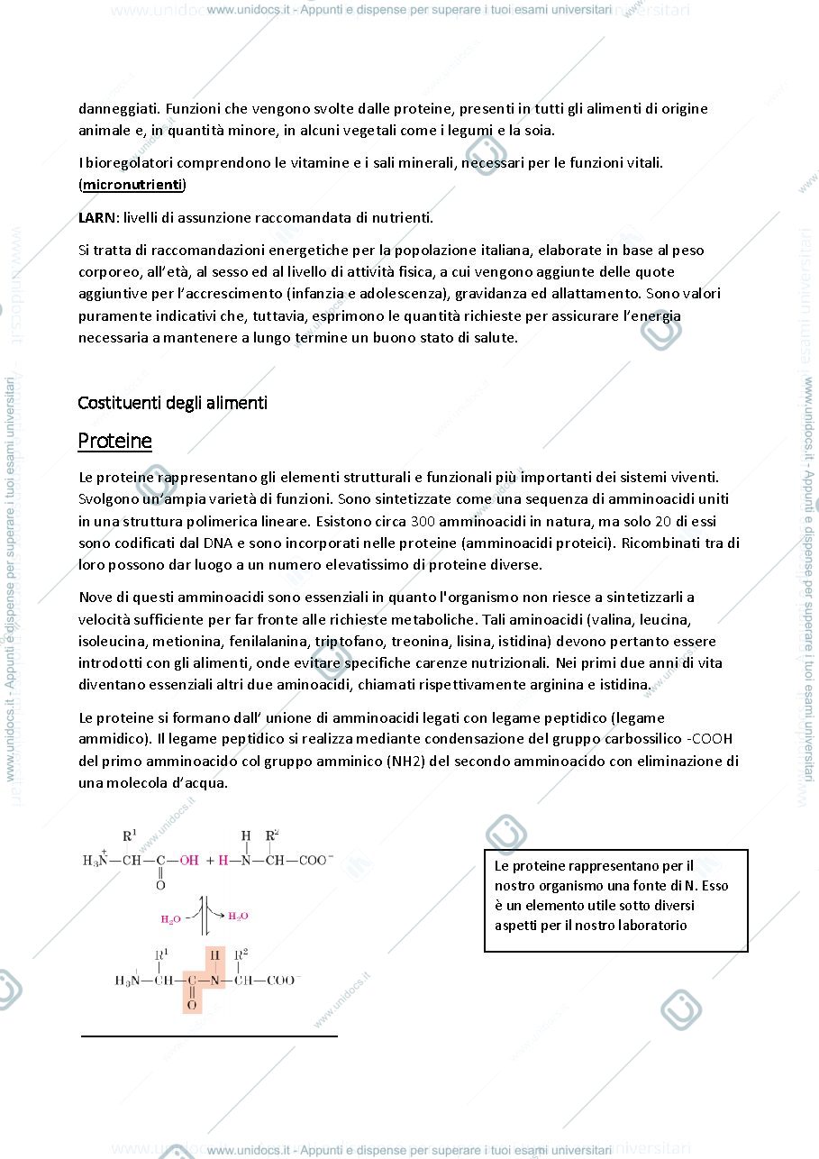 Anteprima pagina 2 — Chimica e analisi degli alimenti