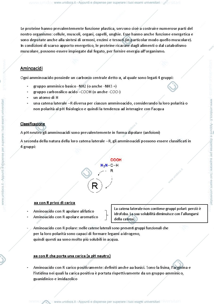 Anteprima pagina 3 — Chimica e analisi degli alimenti