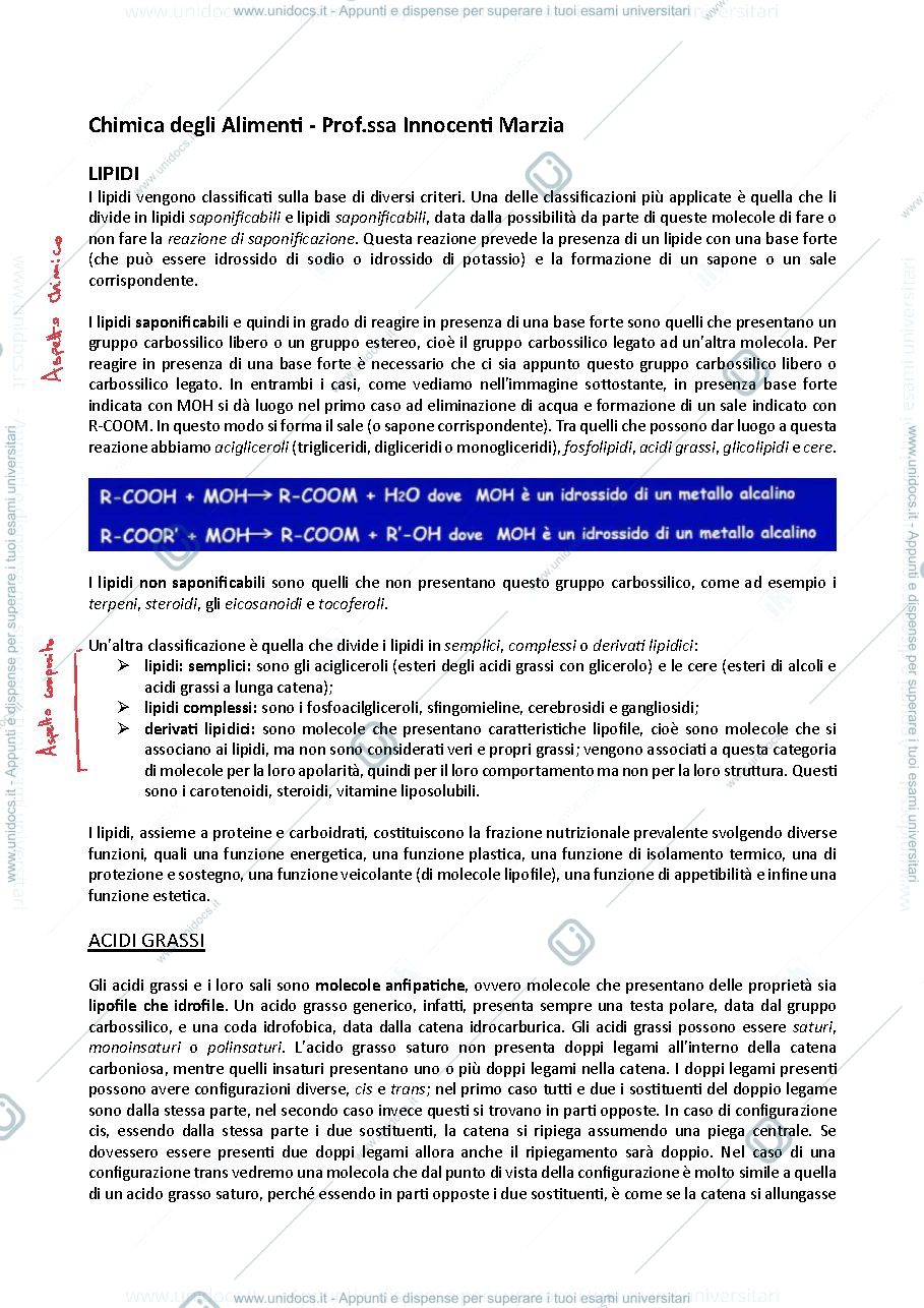Anteprima pagina 1 — 1- Lipidi