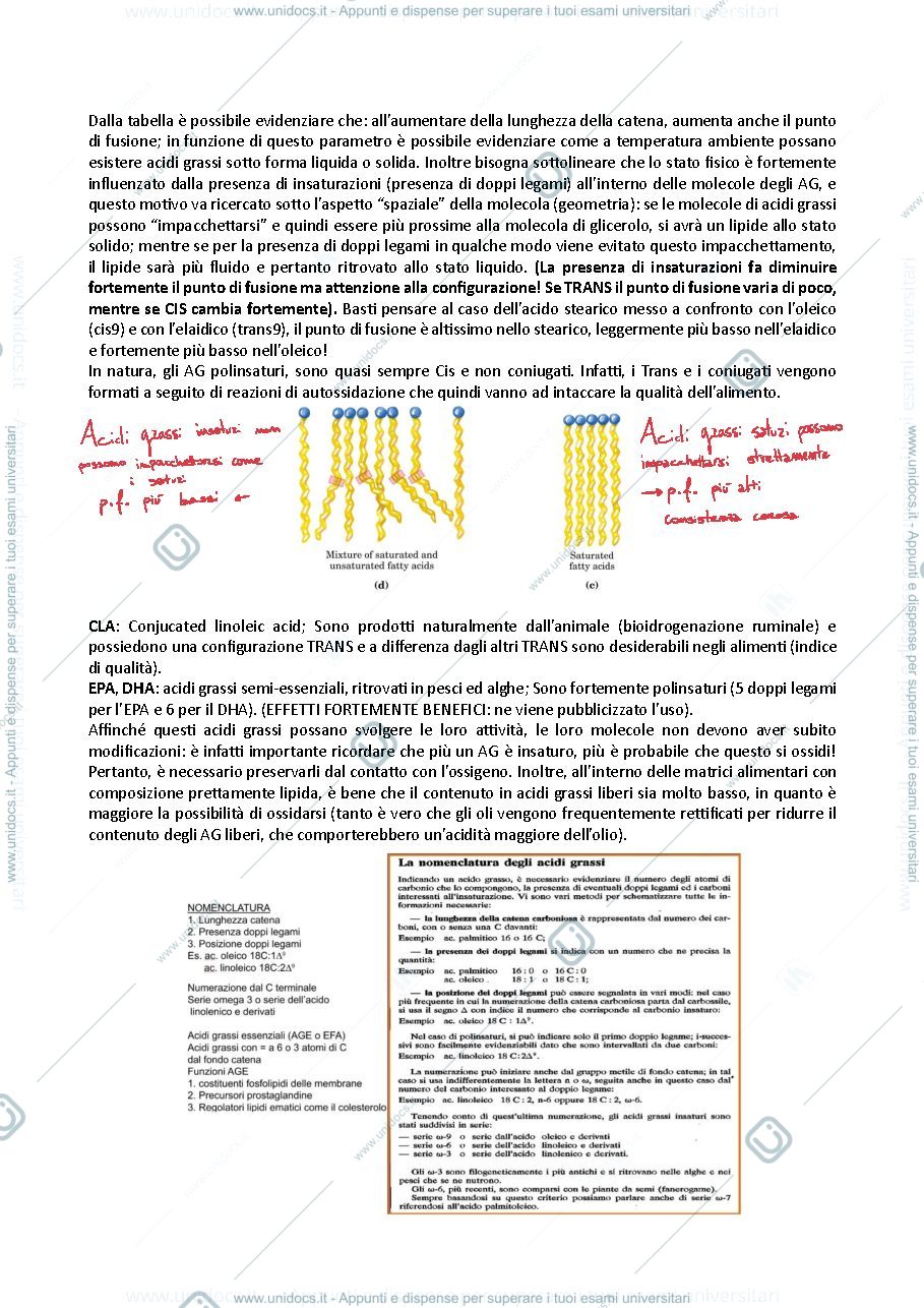 Anteprima pagina 3 — 1- Lipidi