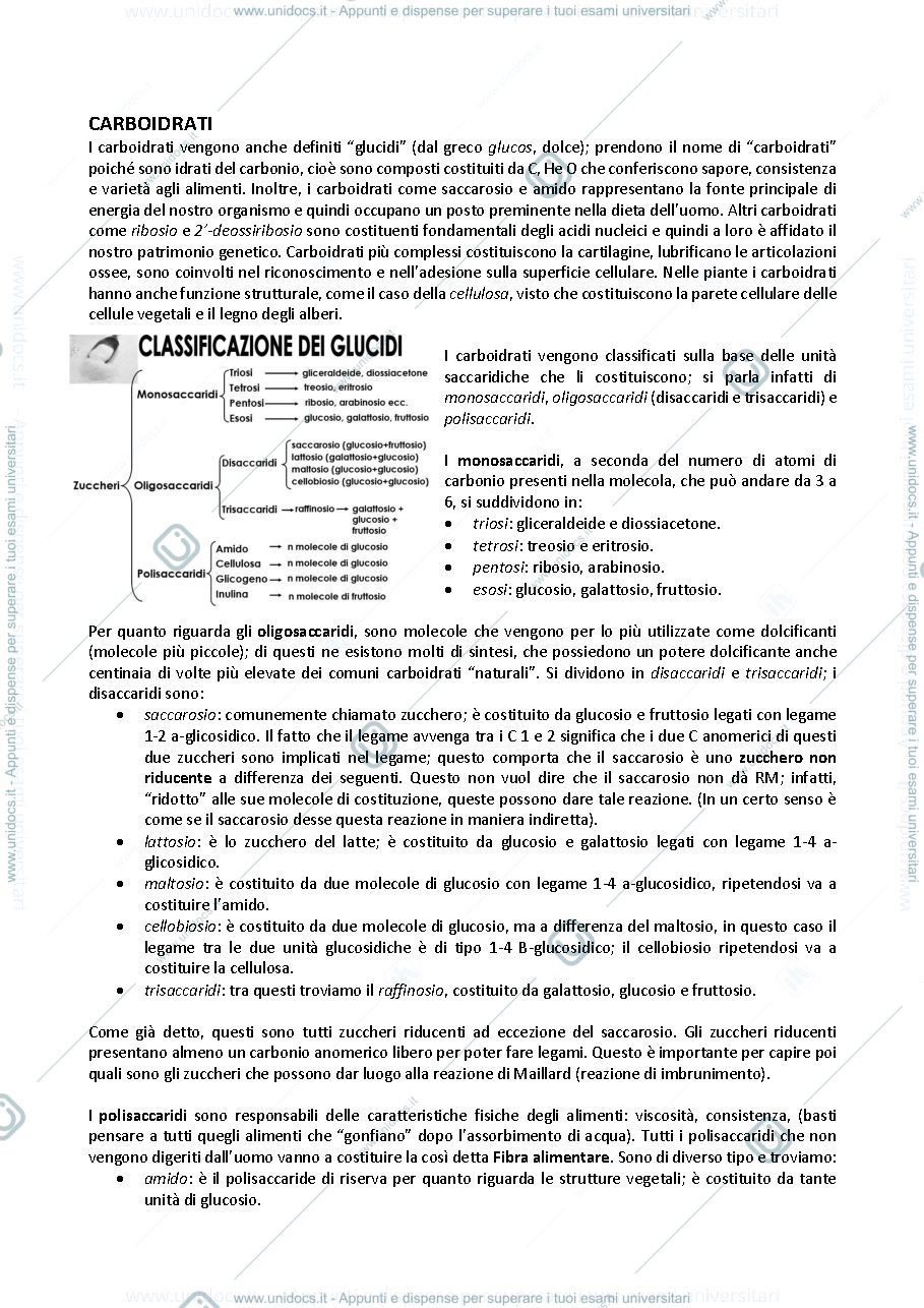 Anteprima pagina 1 — 2- Carboidrati 
