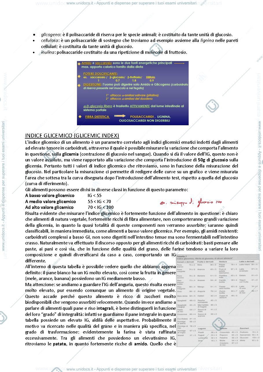 Anteprima pagina 2 — 2- Carboidrati 
