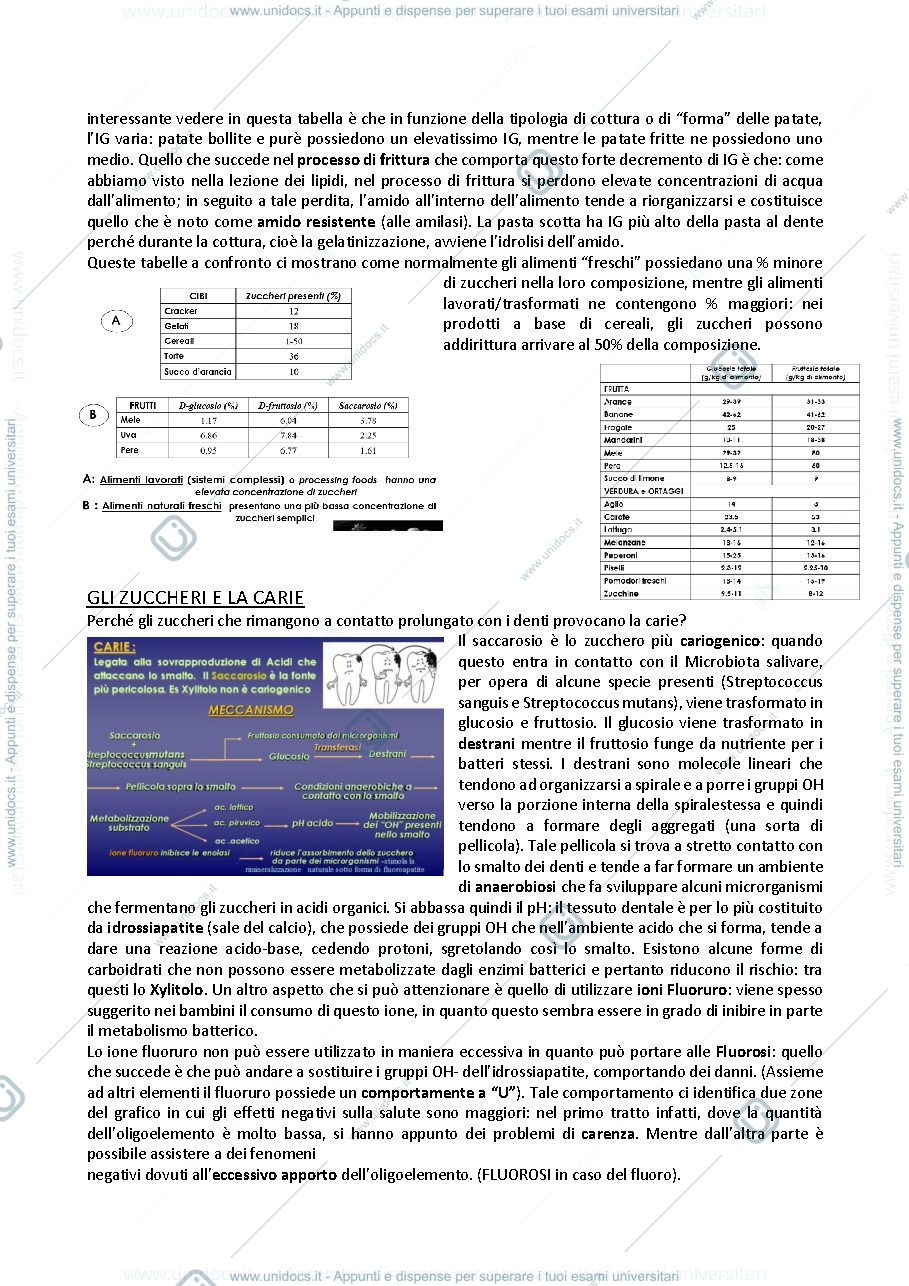 Anteprima pagina 3 — 2- Carboidrati 