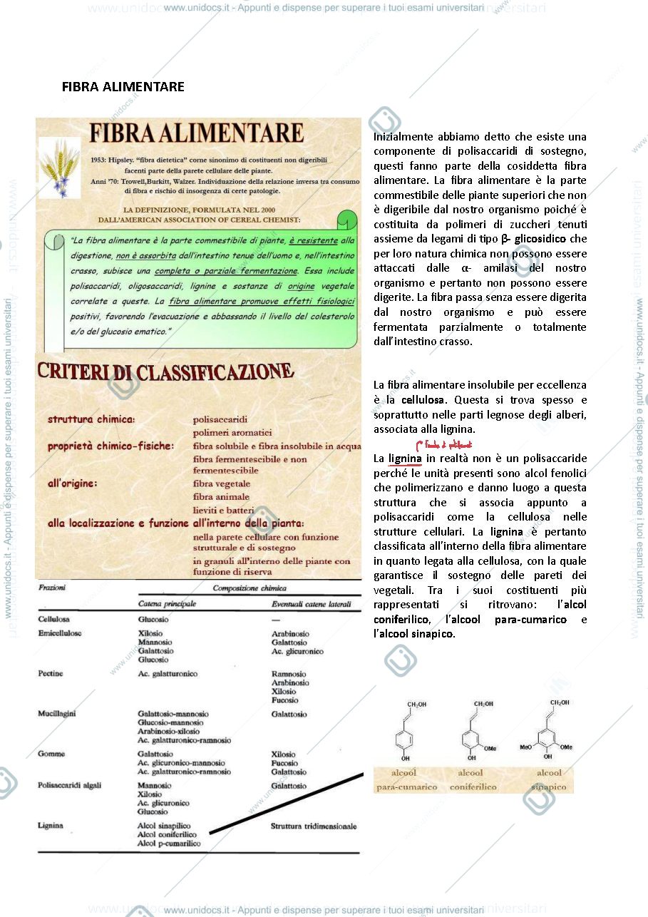 Anteprima pagina 1 — 3- Fibra Alimentare 
