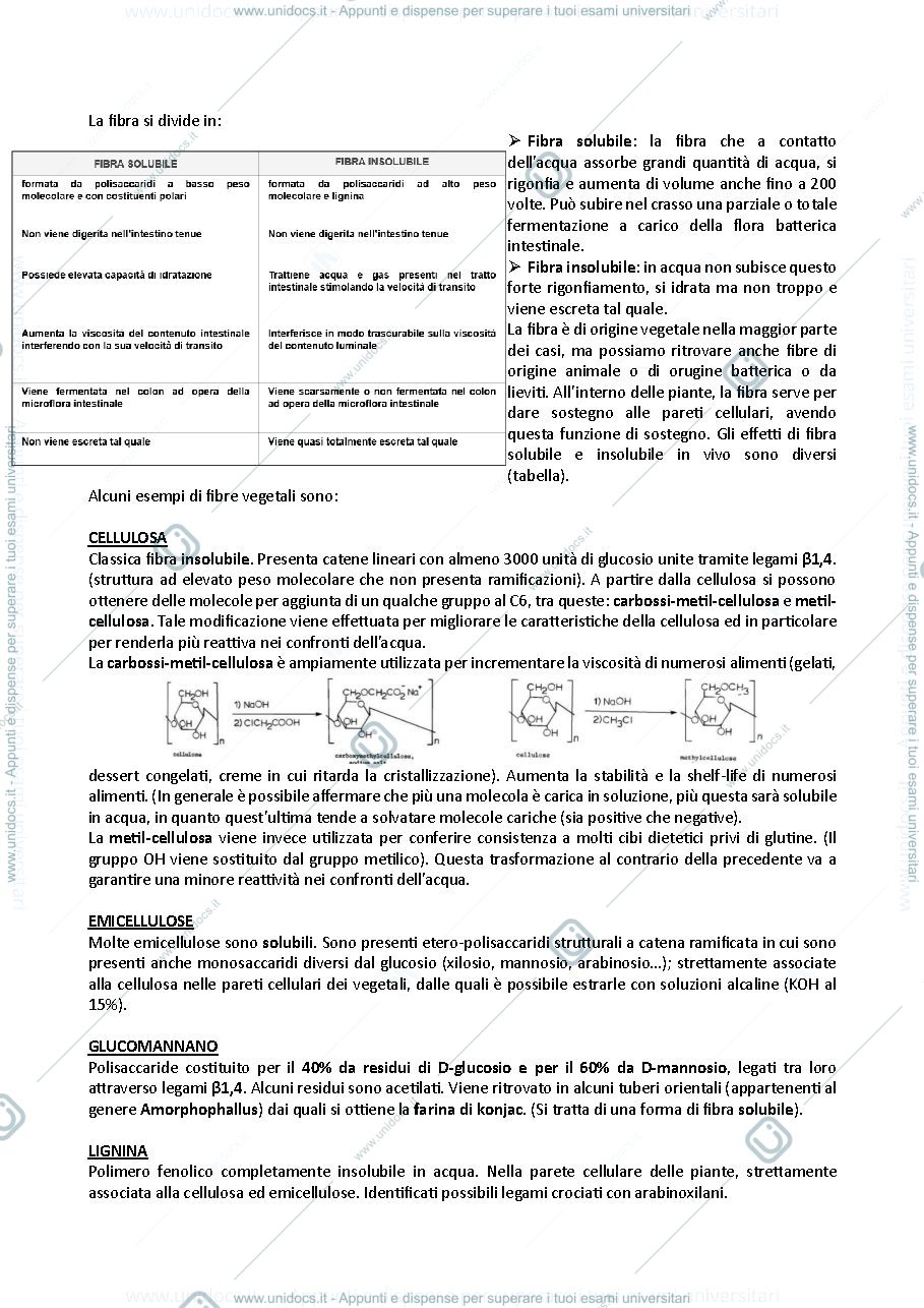 Anteprima pagina 2 — 3- Fibra Alimentare 