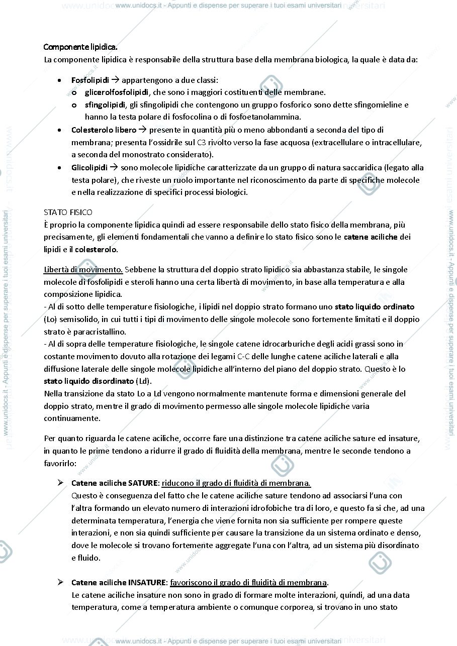 Anteprima pagina 4 — Proteine 