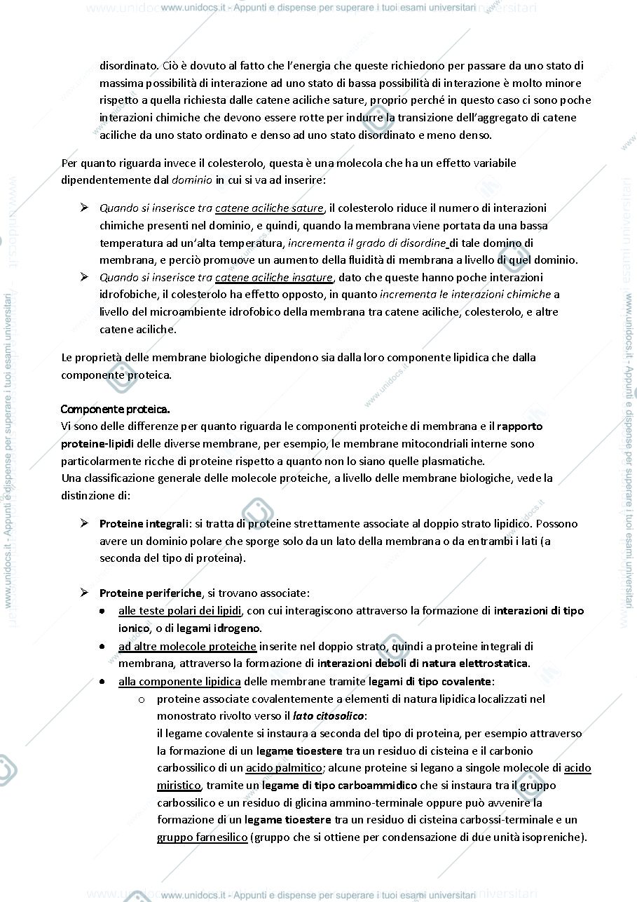 Anteprima pagina 5 — Proteine 