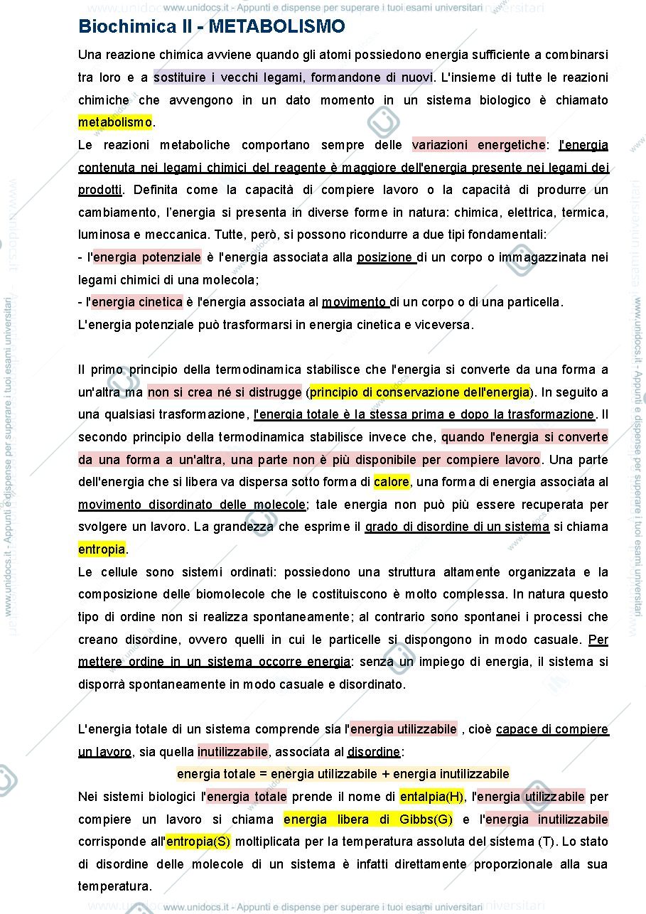 Anteprima pagina 1 — METABOLISMO