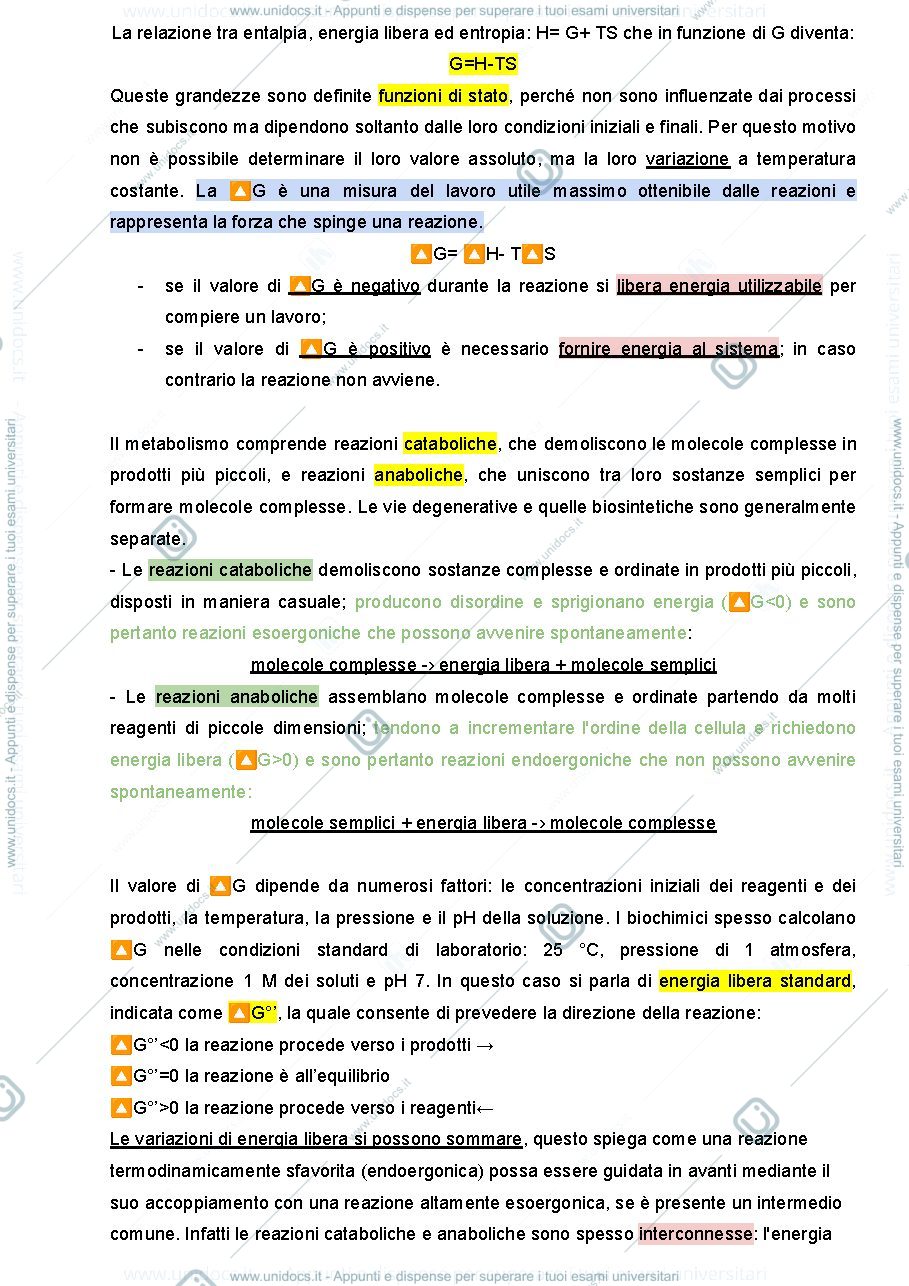 Anteprima pagina 2 — METABOLISMO