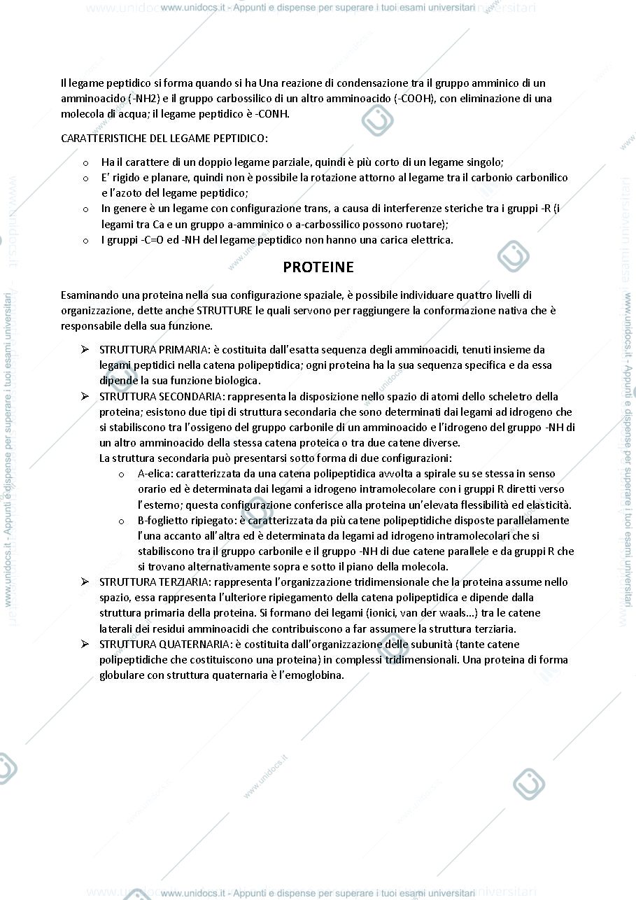 Anteprima pagina 2 — Biochimica