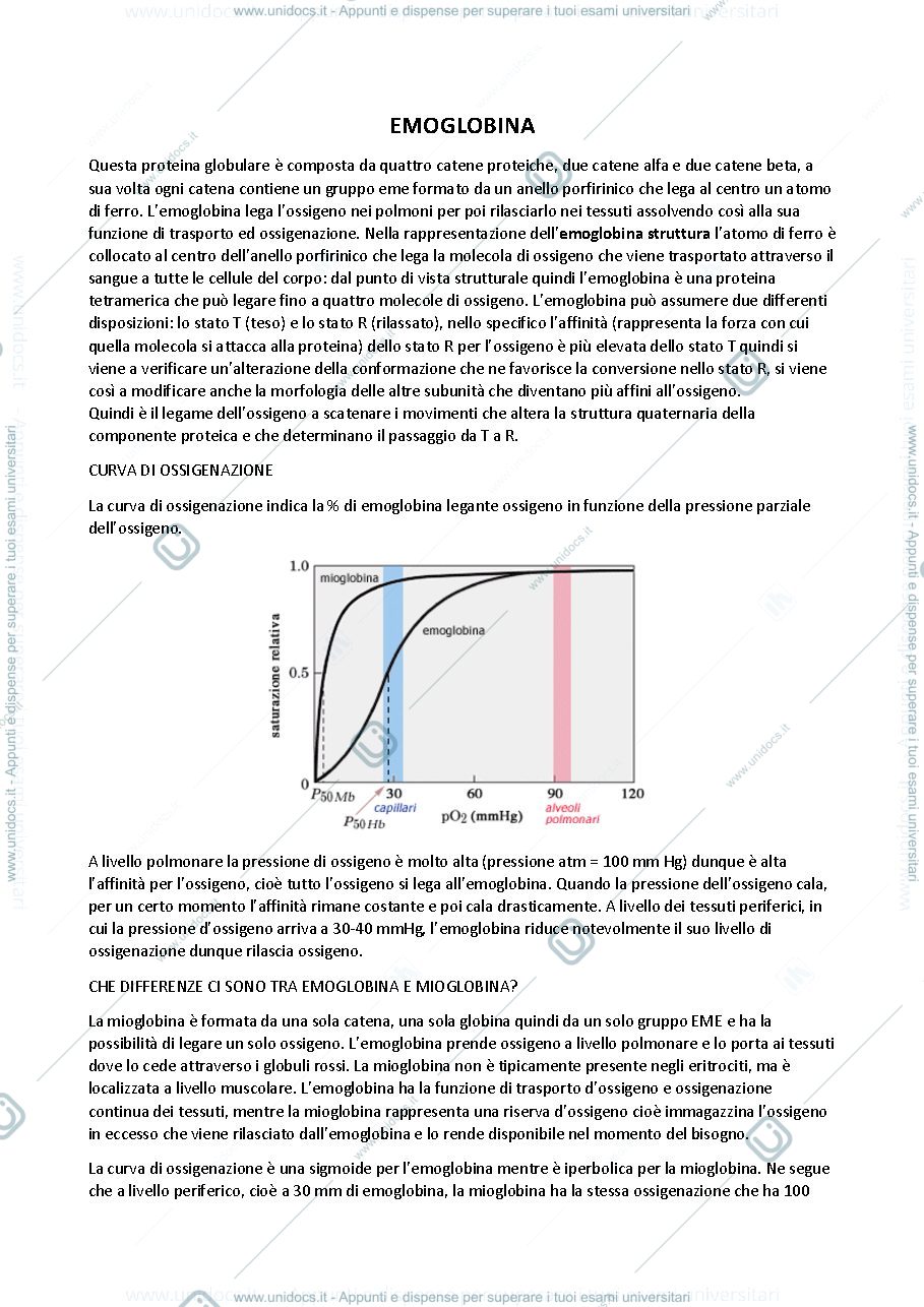 Anteprima pagina 3 — Biochimica