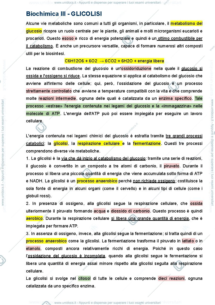 Anteprima pagina 1 — GLICOLISI