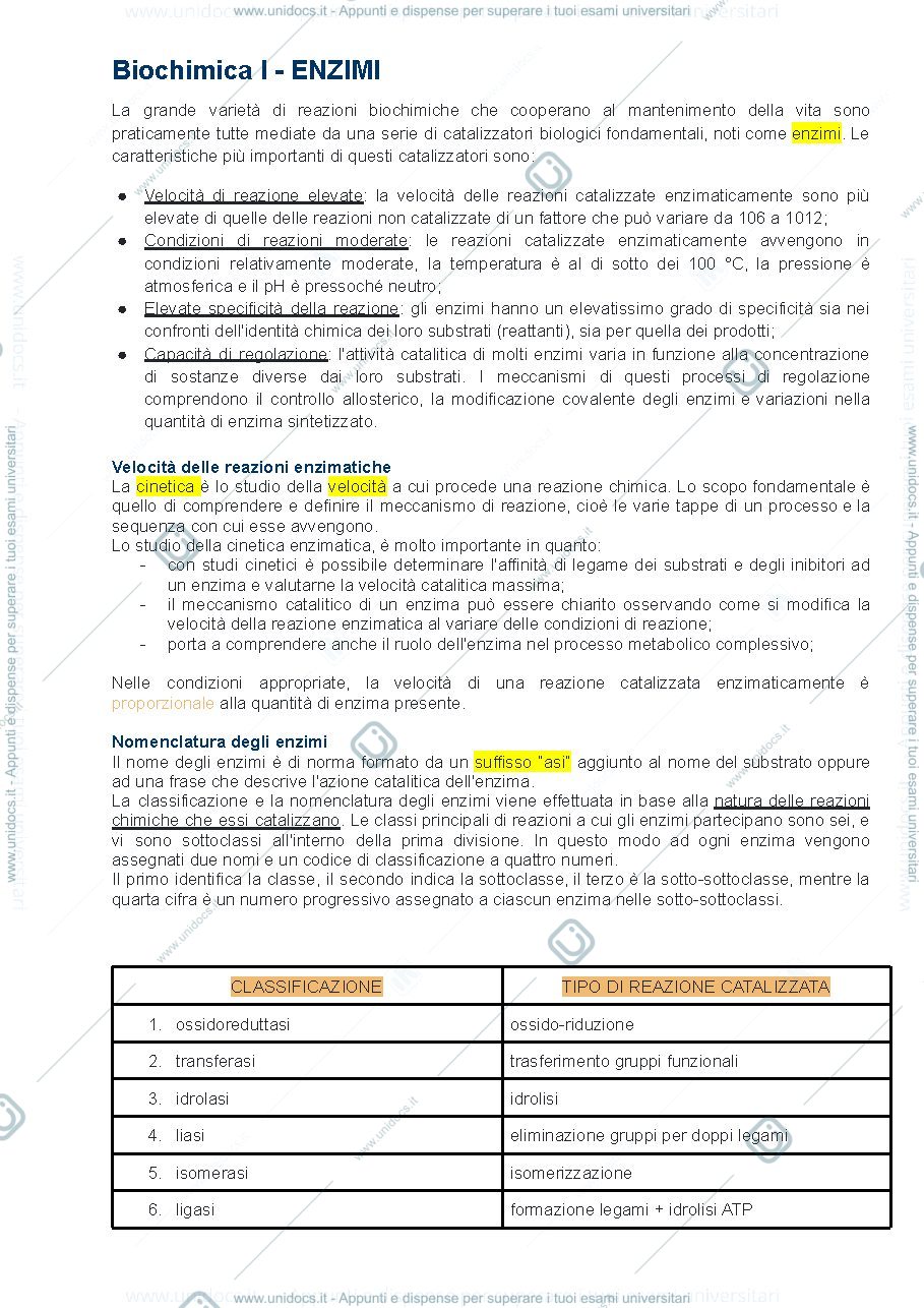 Anteprima pagina 1 — ENZIMI