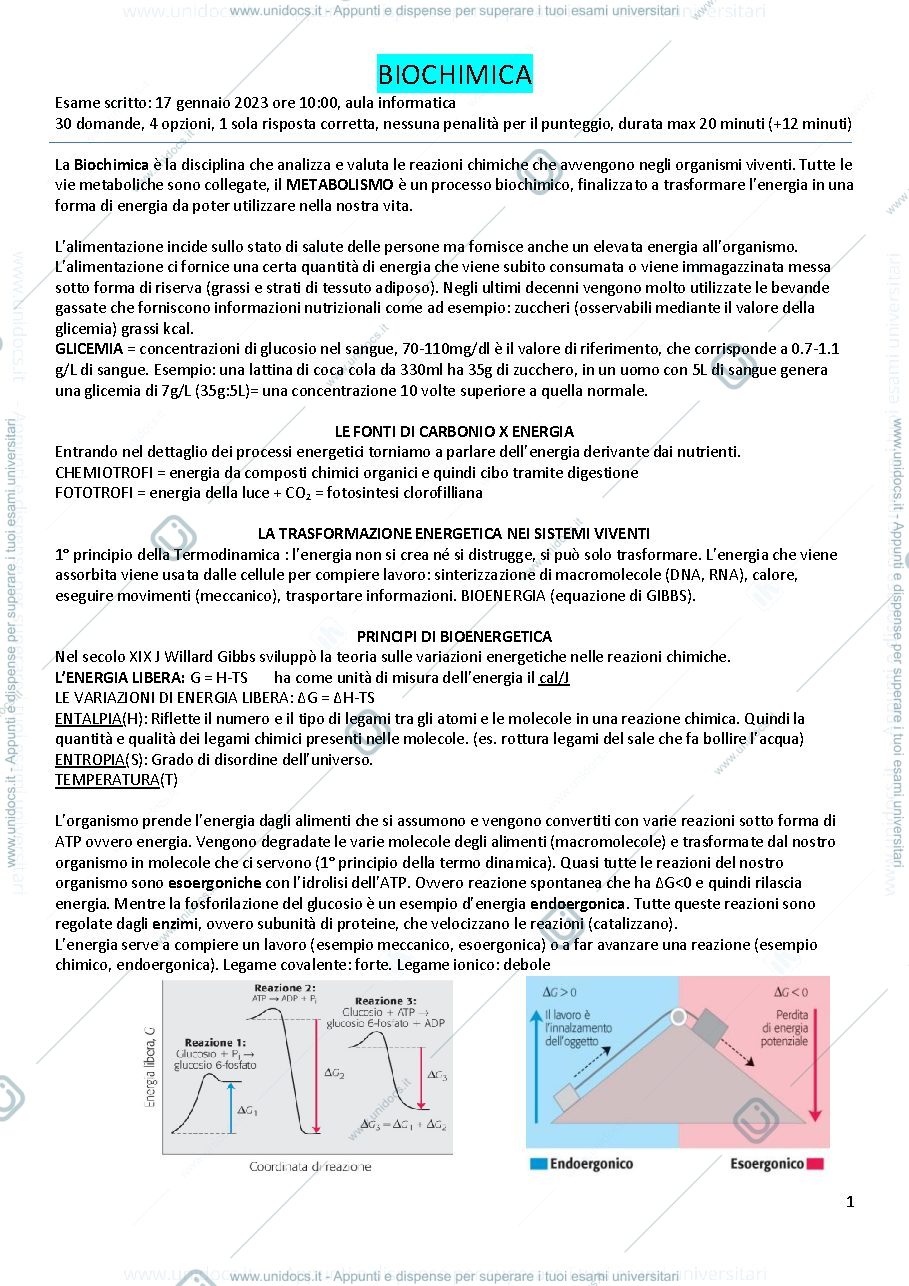 Anteprima pagina 1 — Biochimica