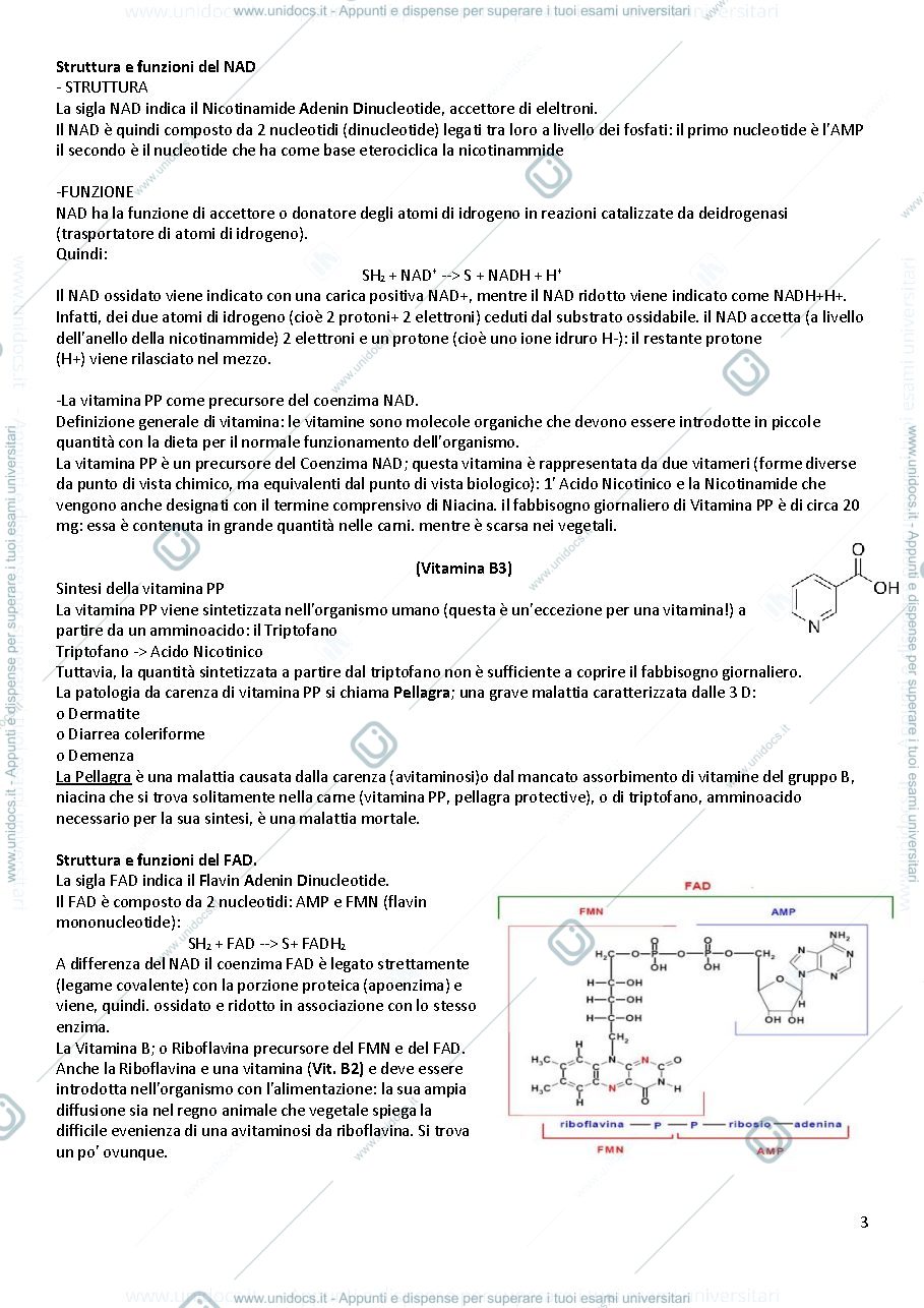 Anteprima pagina 3 — Biochimica