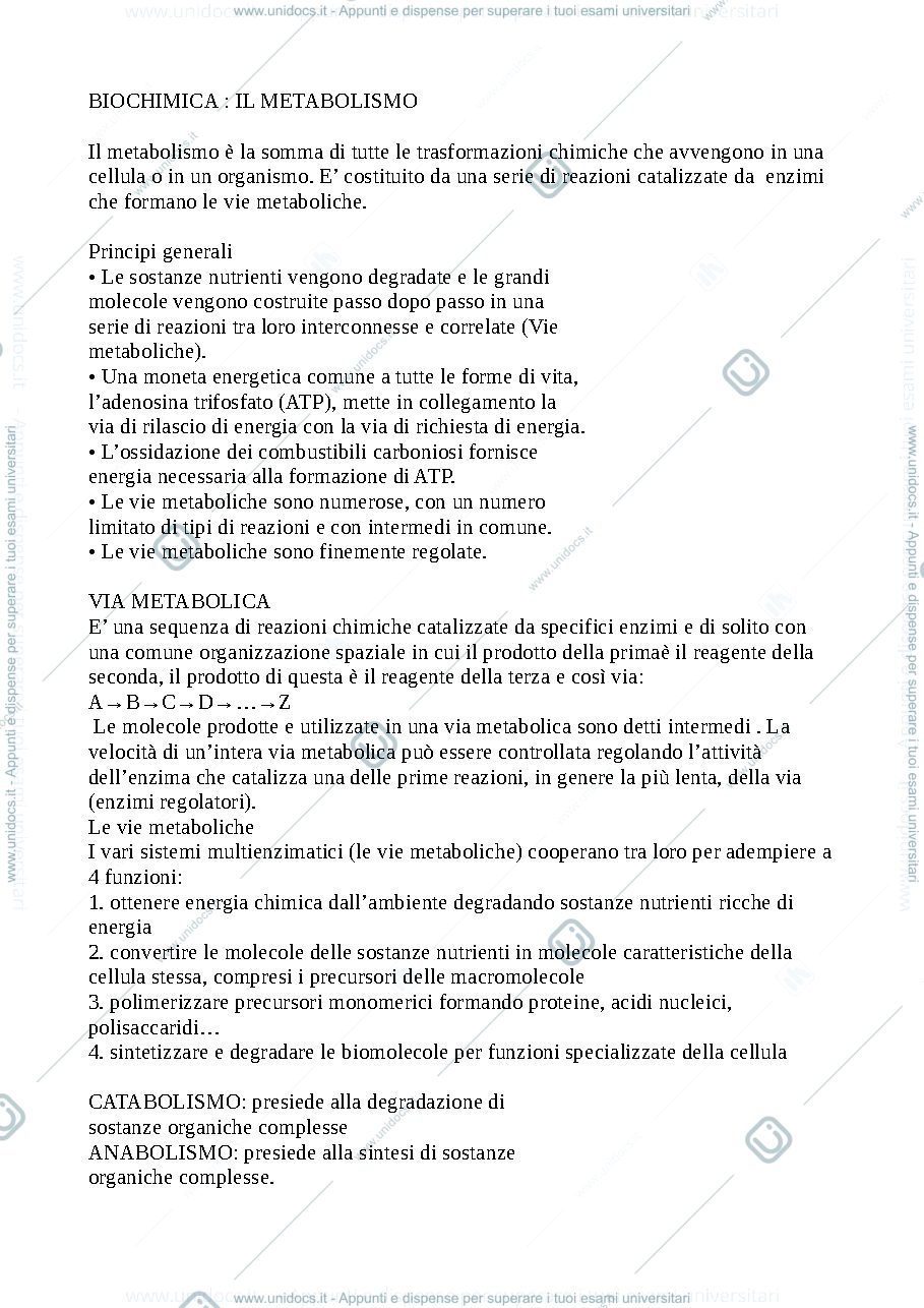 Anteprima pagina 1 — biochimica metabolismo