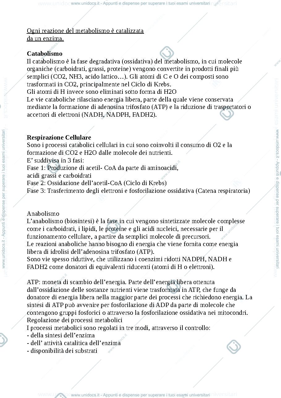 Anteprima pagina 2 — biochimica metabolismo