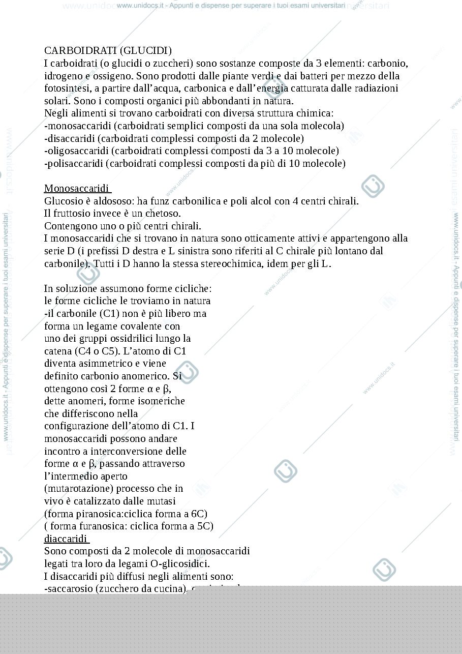 Anteprima pagina 3 — biochimica metabolismo