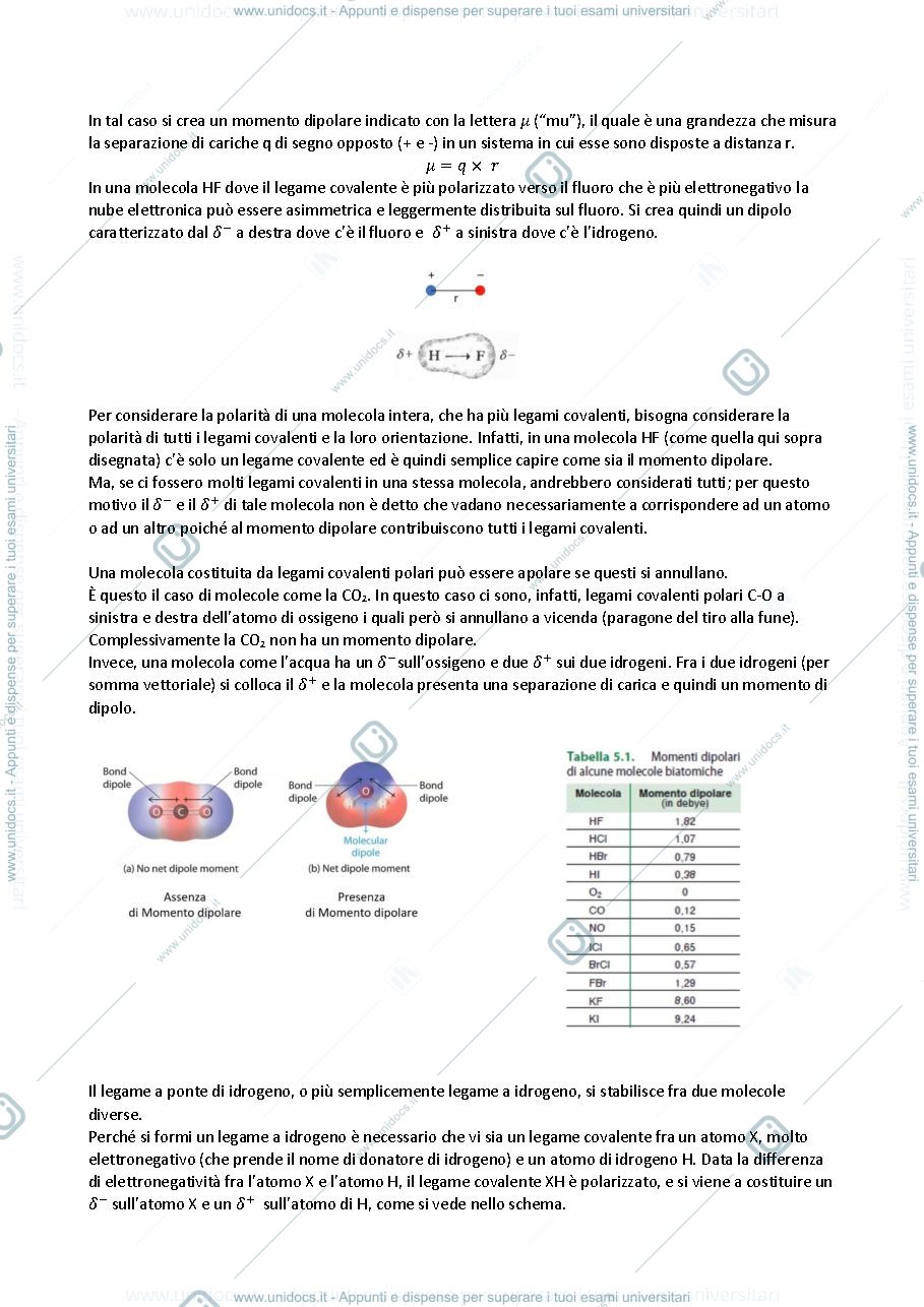 Anteprima pagina 2 — Chimica 2020