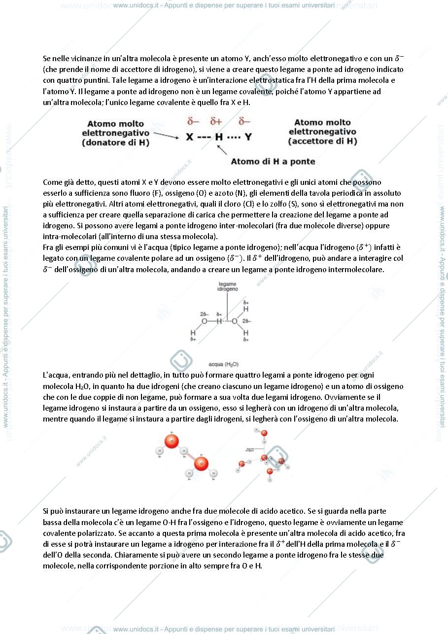Anteprima pagina 3 — Chimica 2020