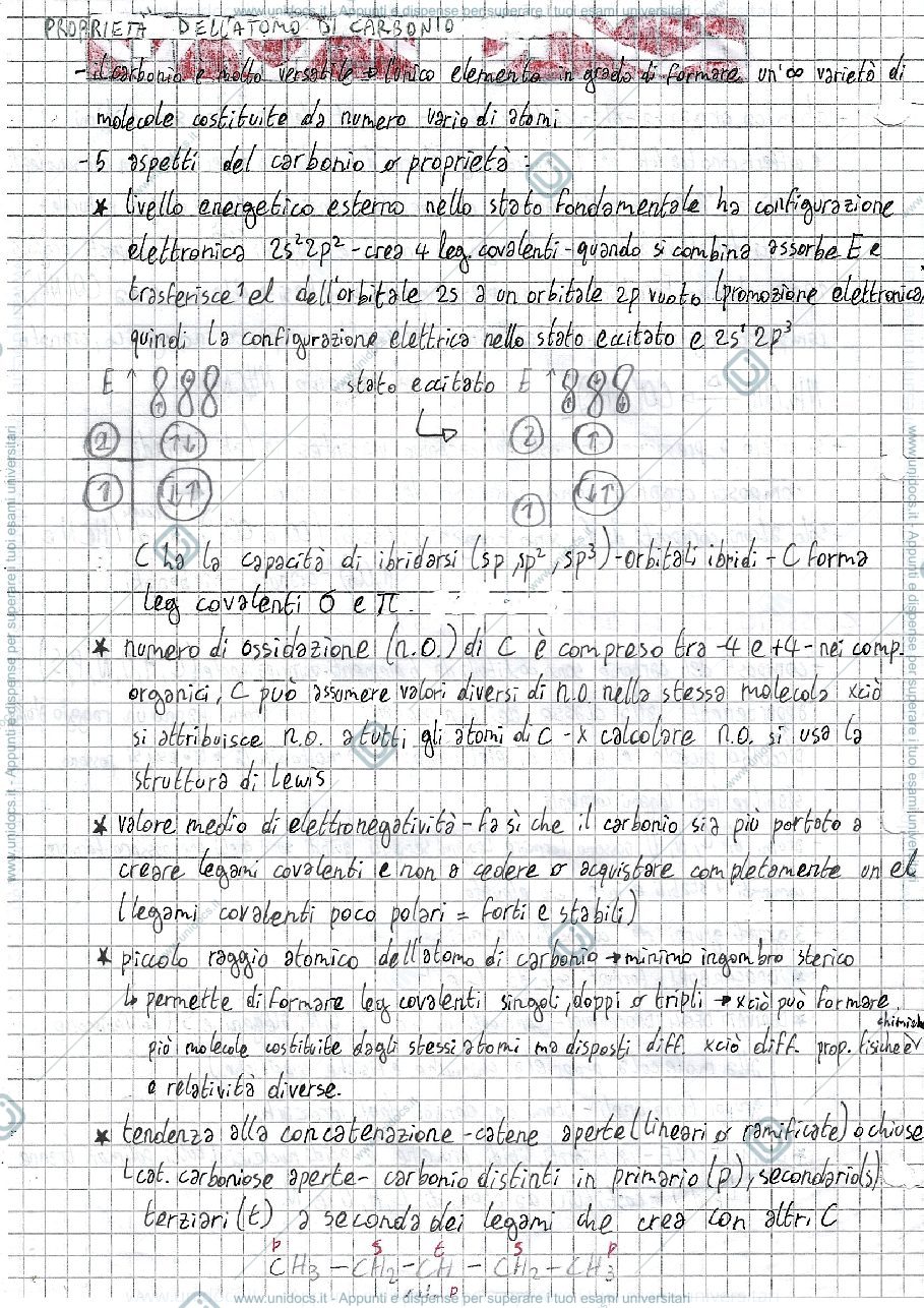 Anteprima pagina 2 — Chimica organica