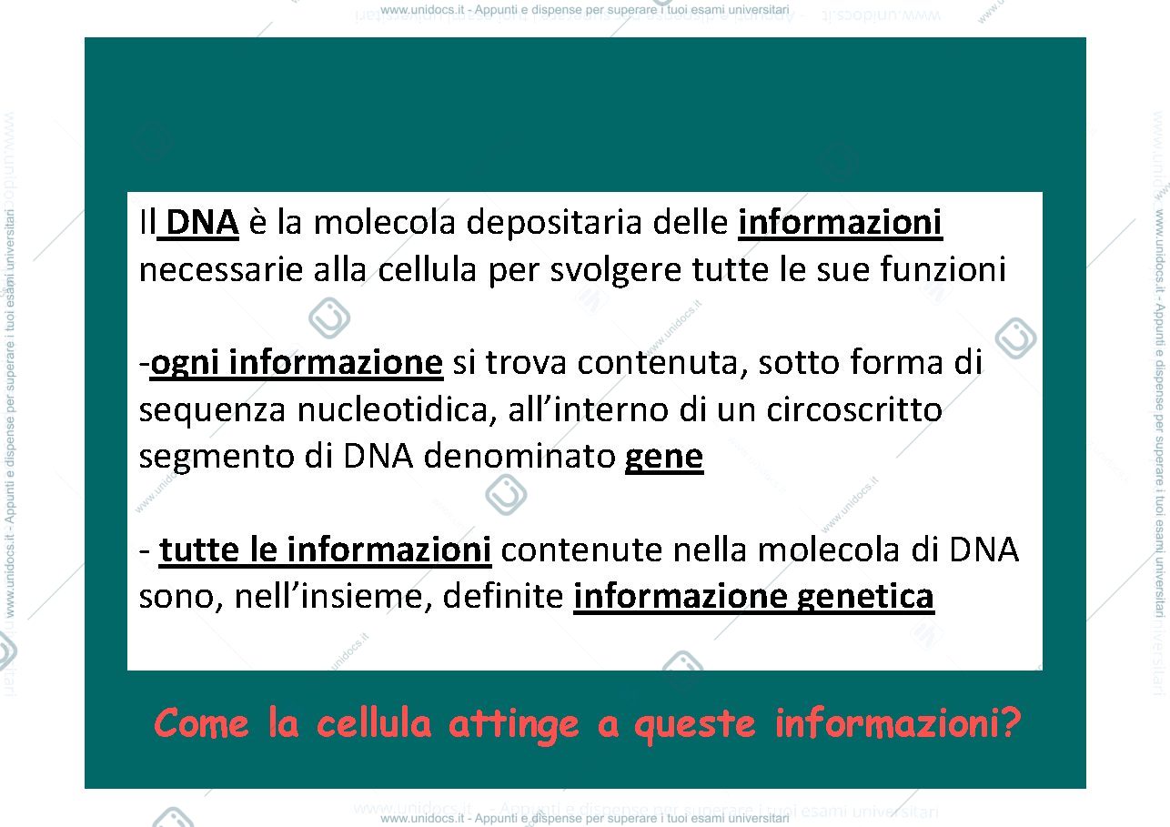 Anteprima pagina 3 — trascrizione