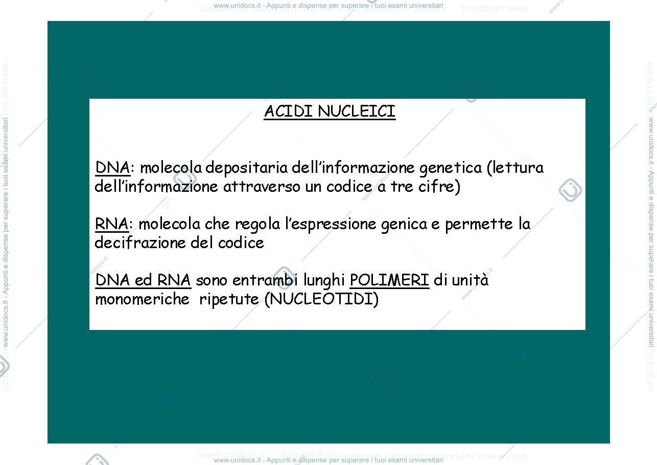 Anteprima pagina 1 — Acidi nucleici_cromosomi_cariotipo 