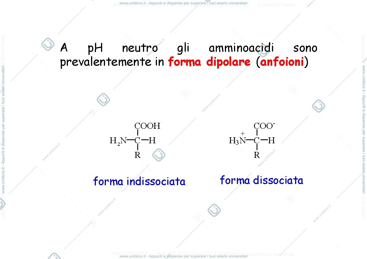 Anteprima pagina 4 — .Amminoacidi e proteine