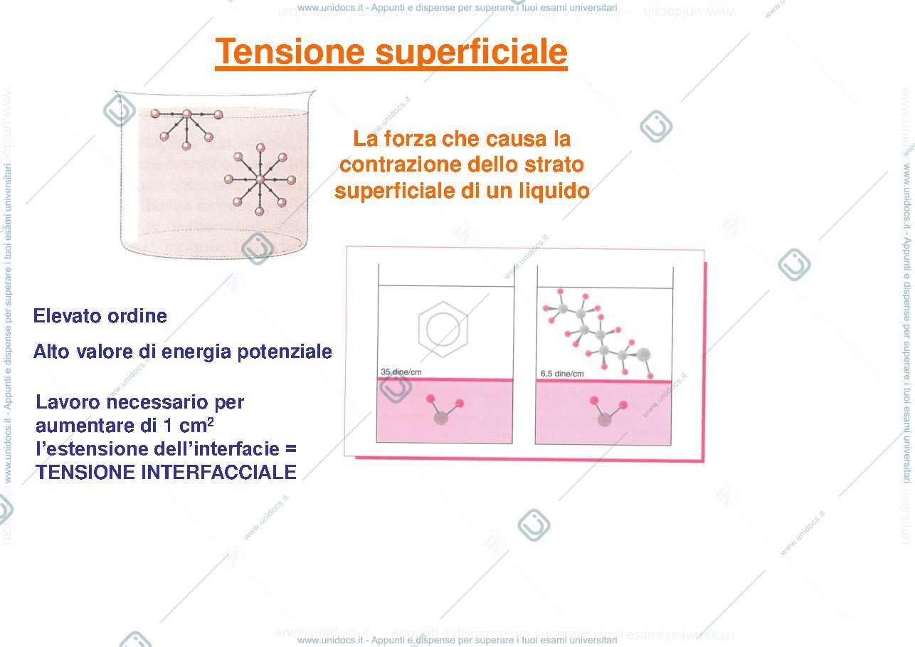 Anteprima pagina 1 — Tensione superficiale