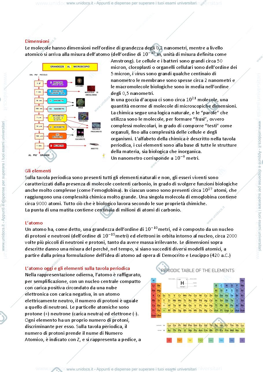 Anteprima pagina 2 — chimica e biochimica