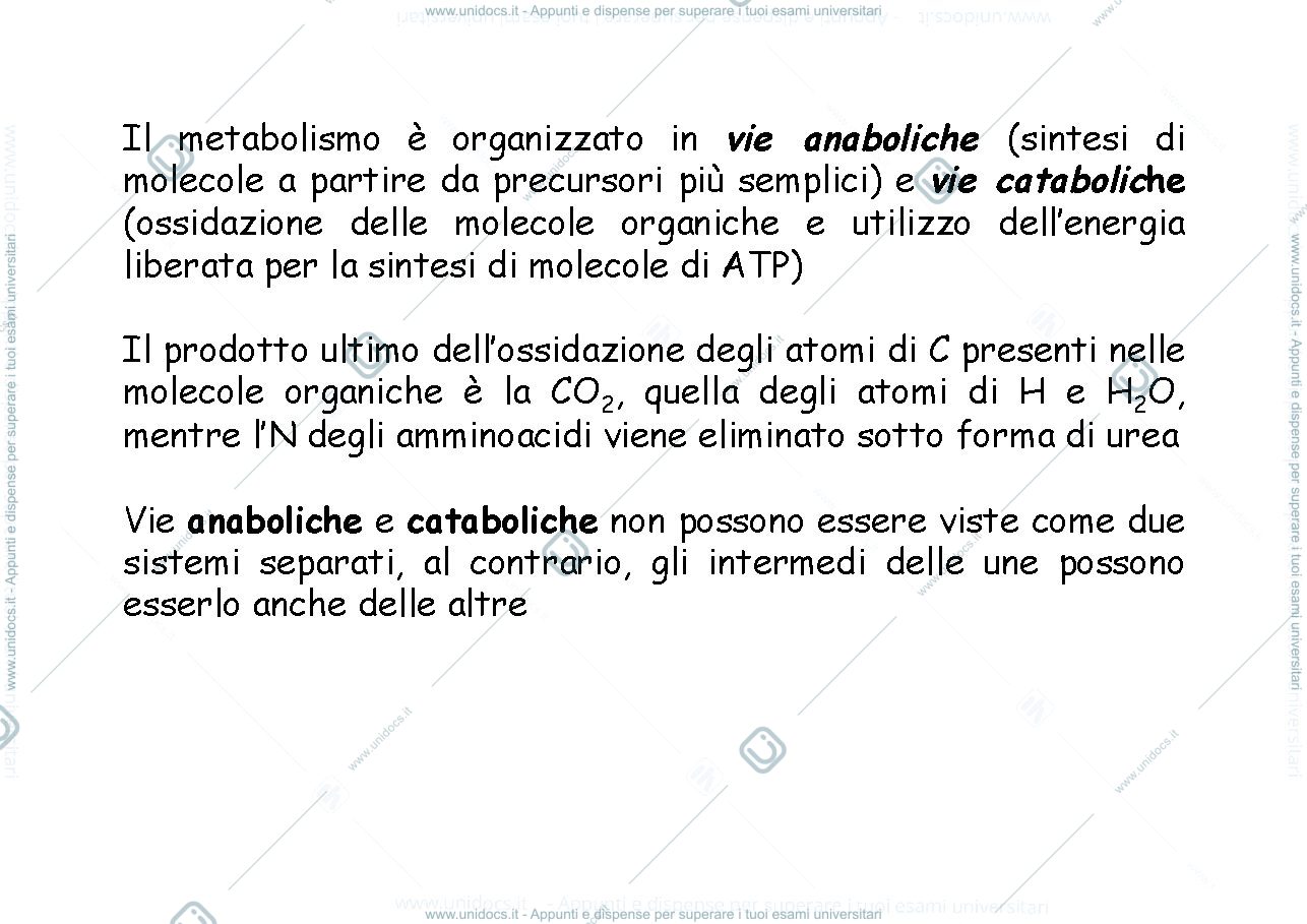 Anteprima pagina 4 — Metabolismo