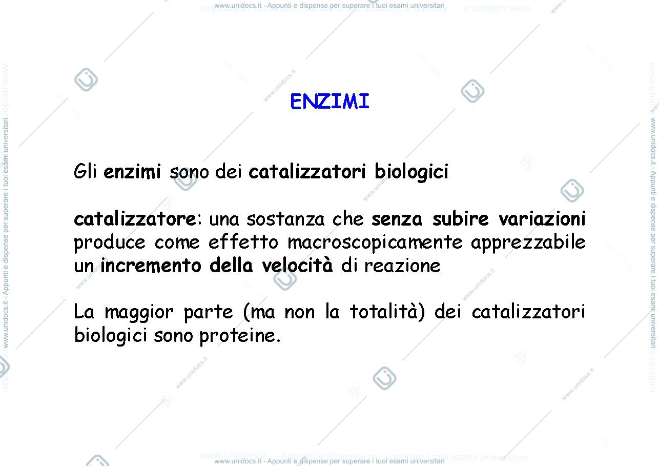 Anteprima pagina 1 — Enzimi