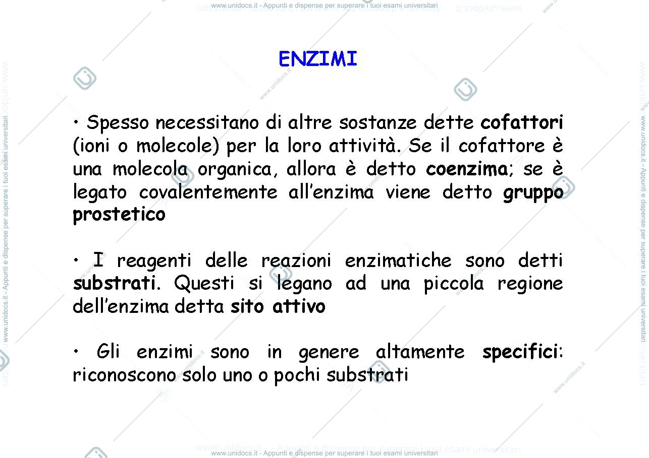 Anteprima pagina 2 — Enzimi