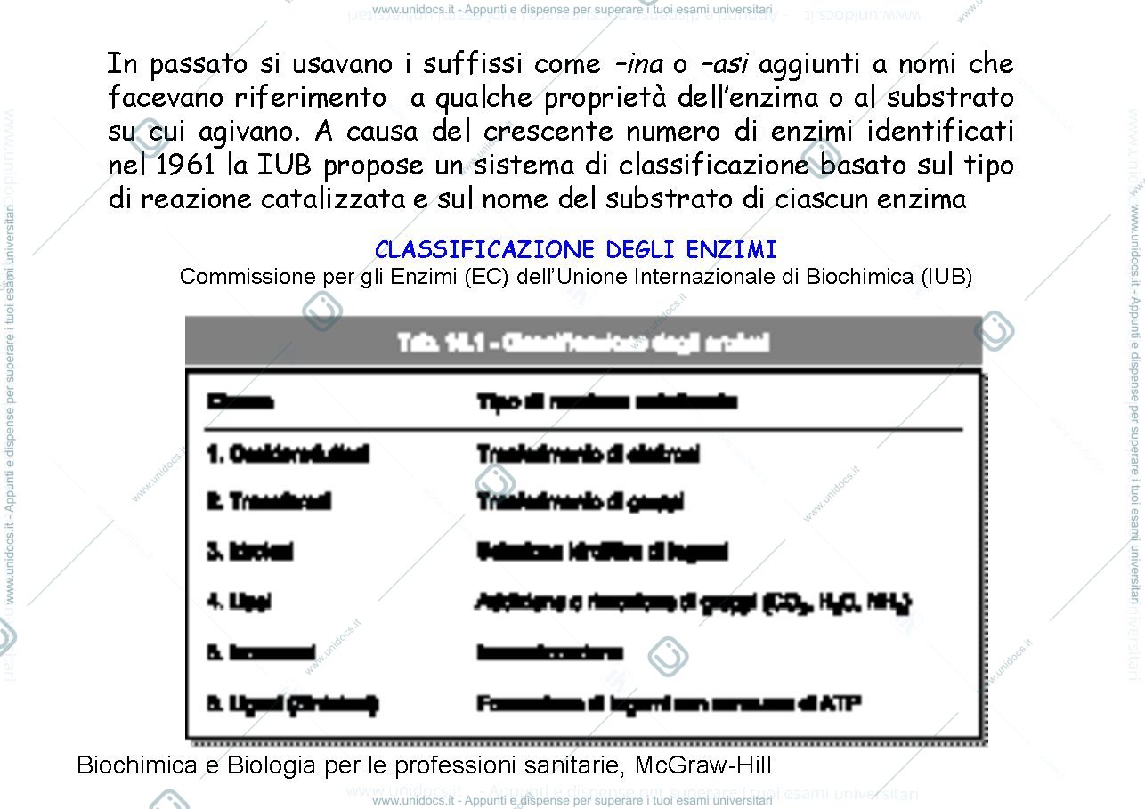 Anteprima pagina 3 — Enzimi