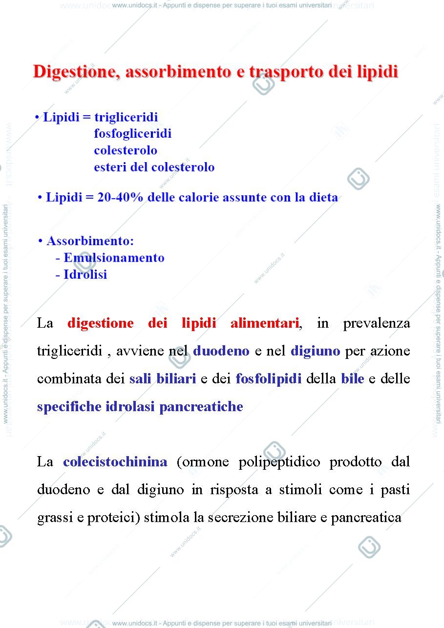 Anteprima pagina 1 — Metabolismo lipidico