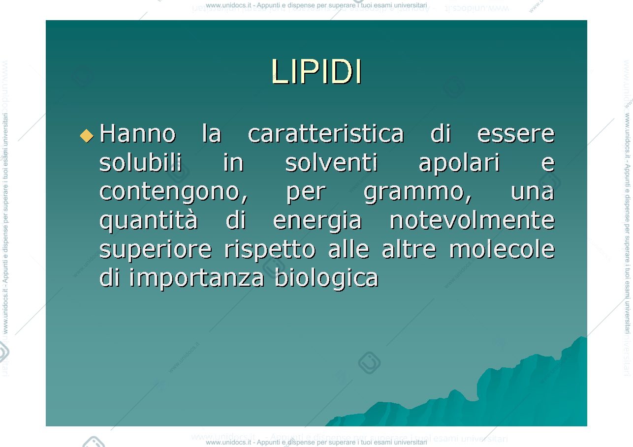 Anteprima pagina 1 — lipidi