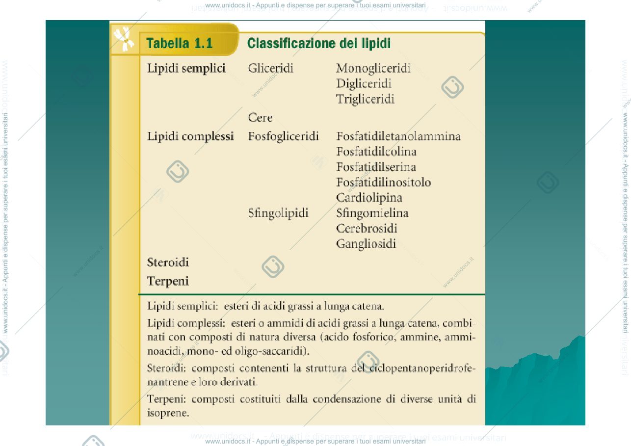 Anteprima pagina 2 — lipidi