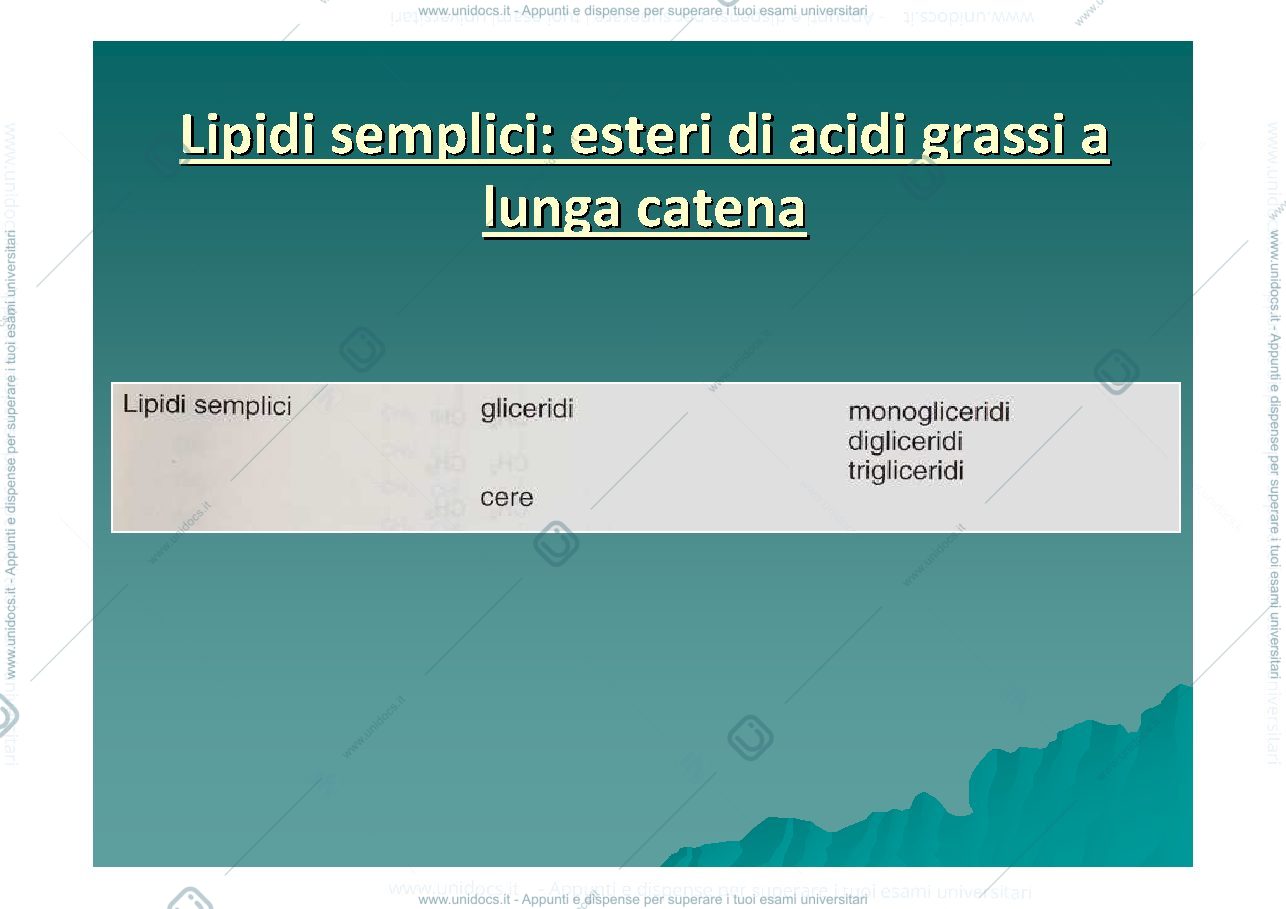 Anteprima pagina 3 — lipidi
