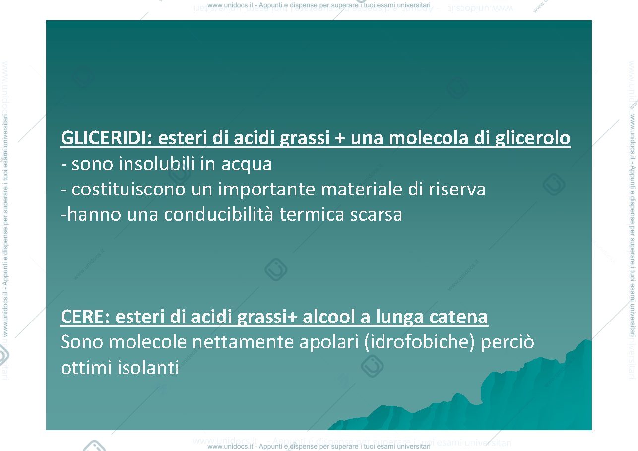 Anteprima pagina 4 — lipidi